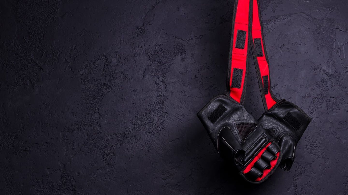 MMA : UFC