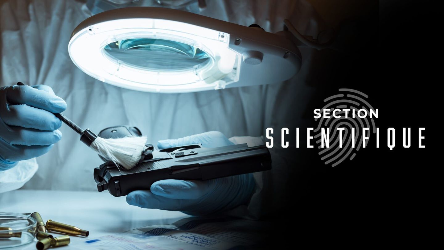 Section scientifique