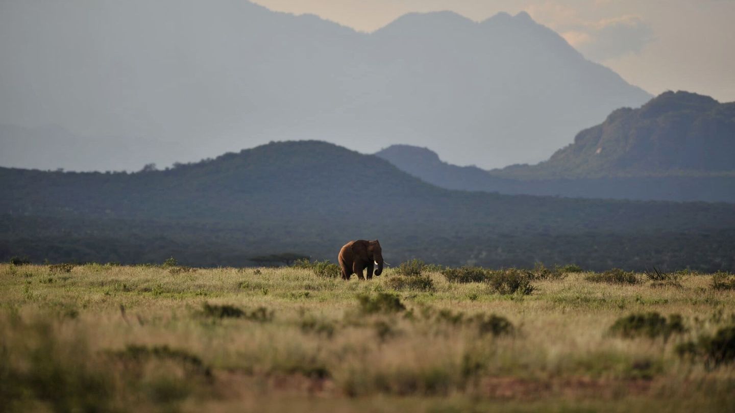Le grand rift : grand canyon d'Afrique