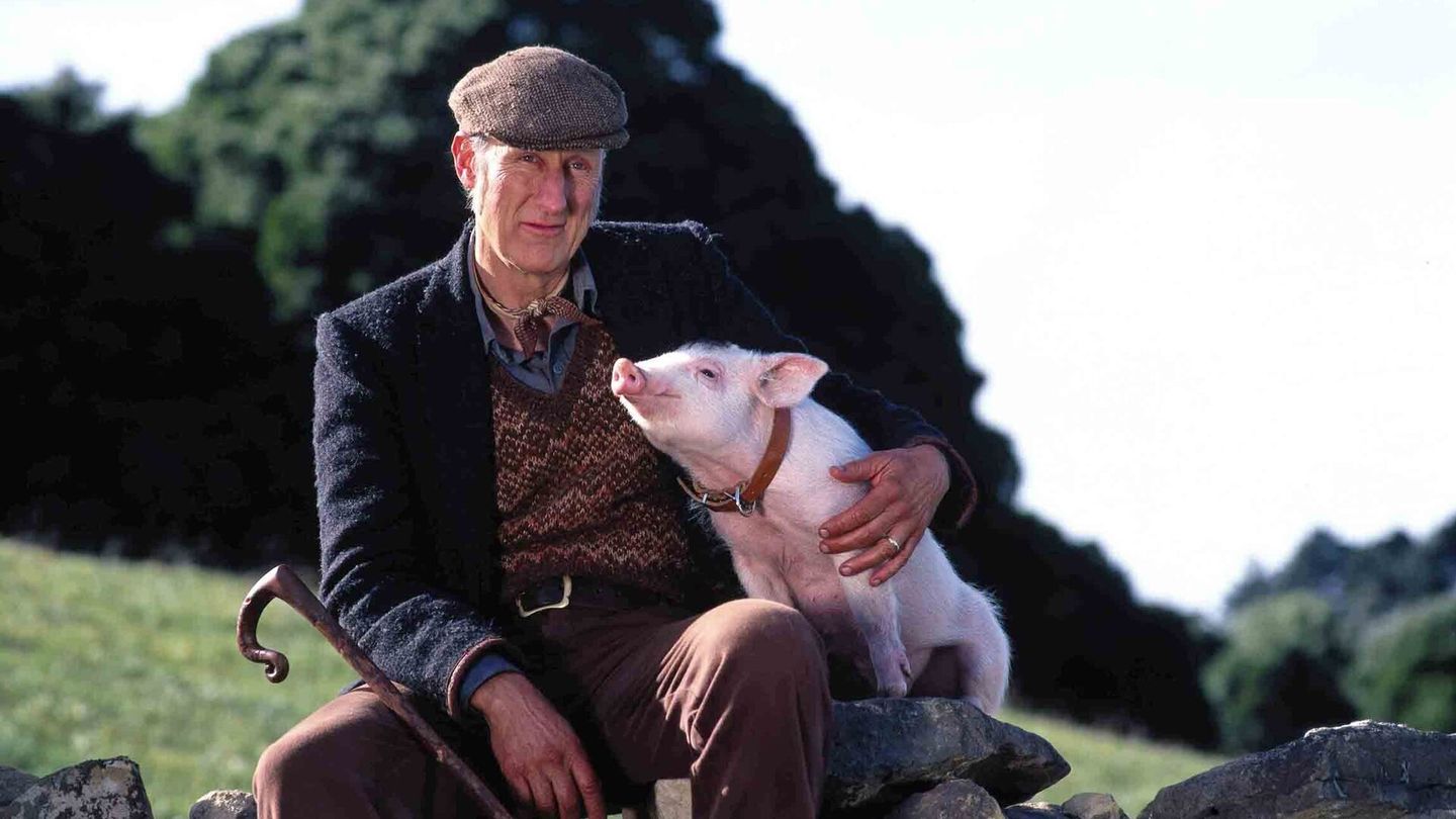 Babe, le cochon devenu berger