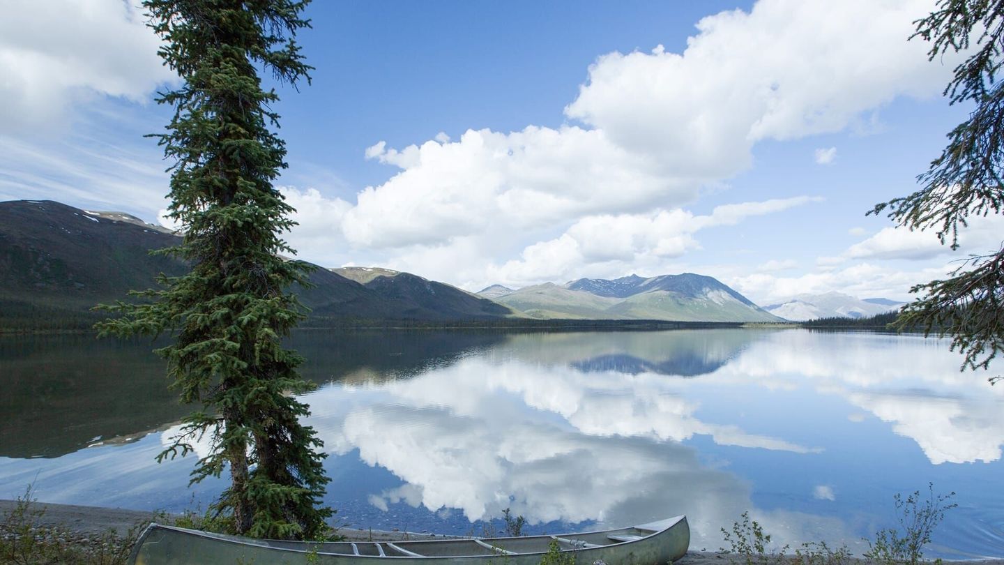 Bush Alaska