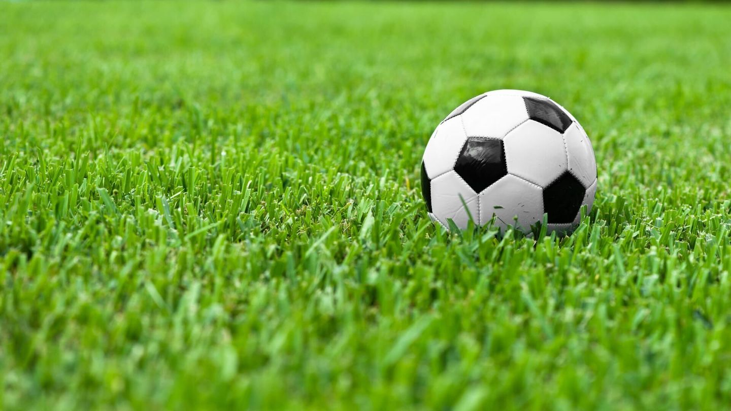 Football : Coupe du monde