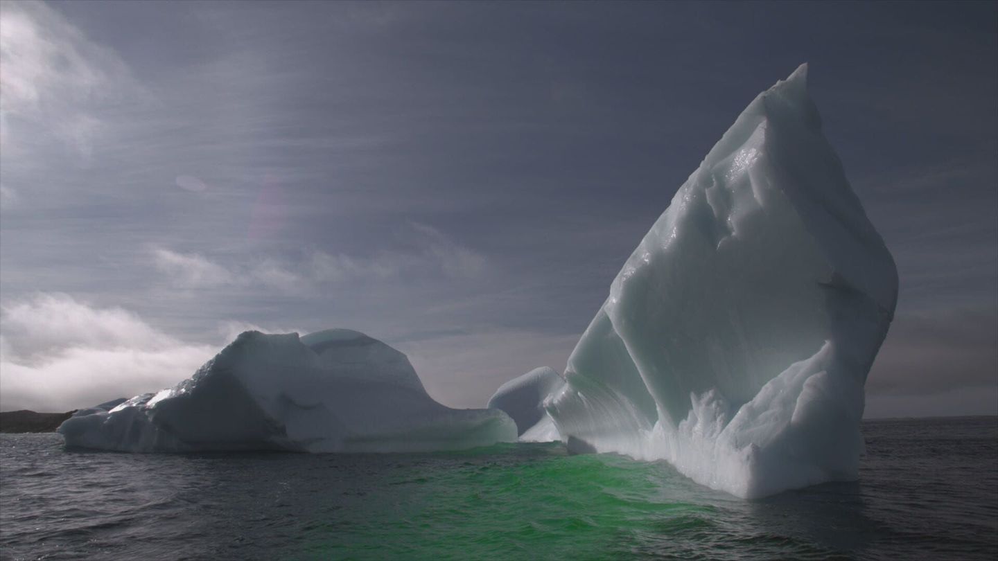 Les secrets de l'Arctique