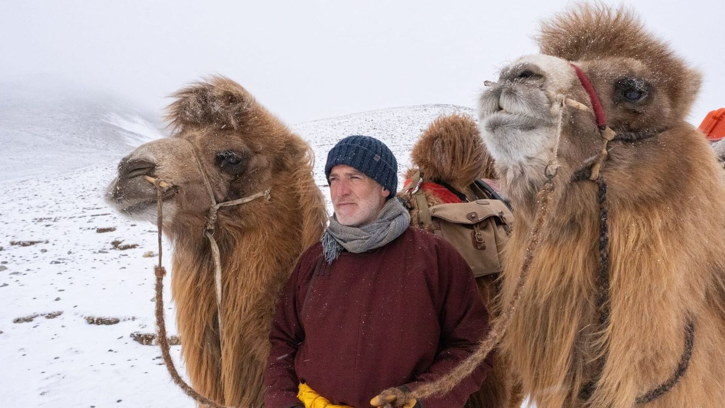 A dos de chameau dans le désert de Gobi