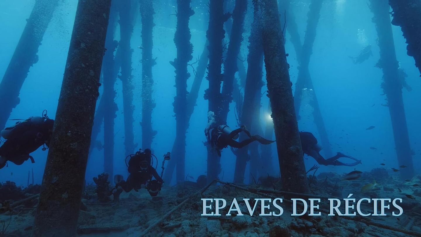 Epaves de récifs