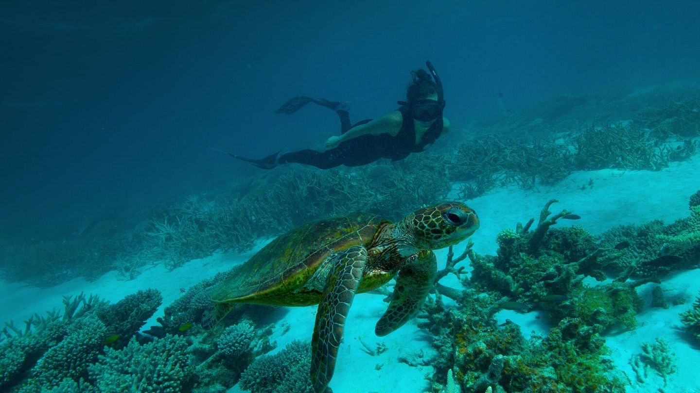 Australie : les profondeurs de l'océan