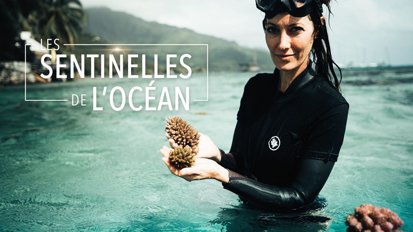 Les sentinelles de l'océan