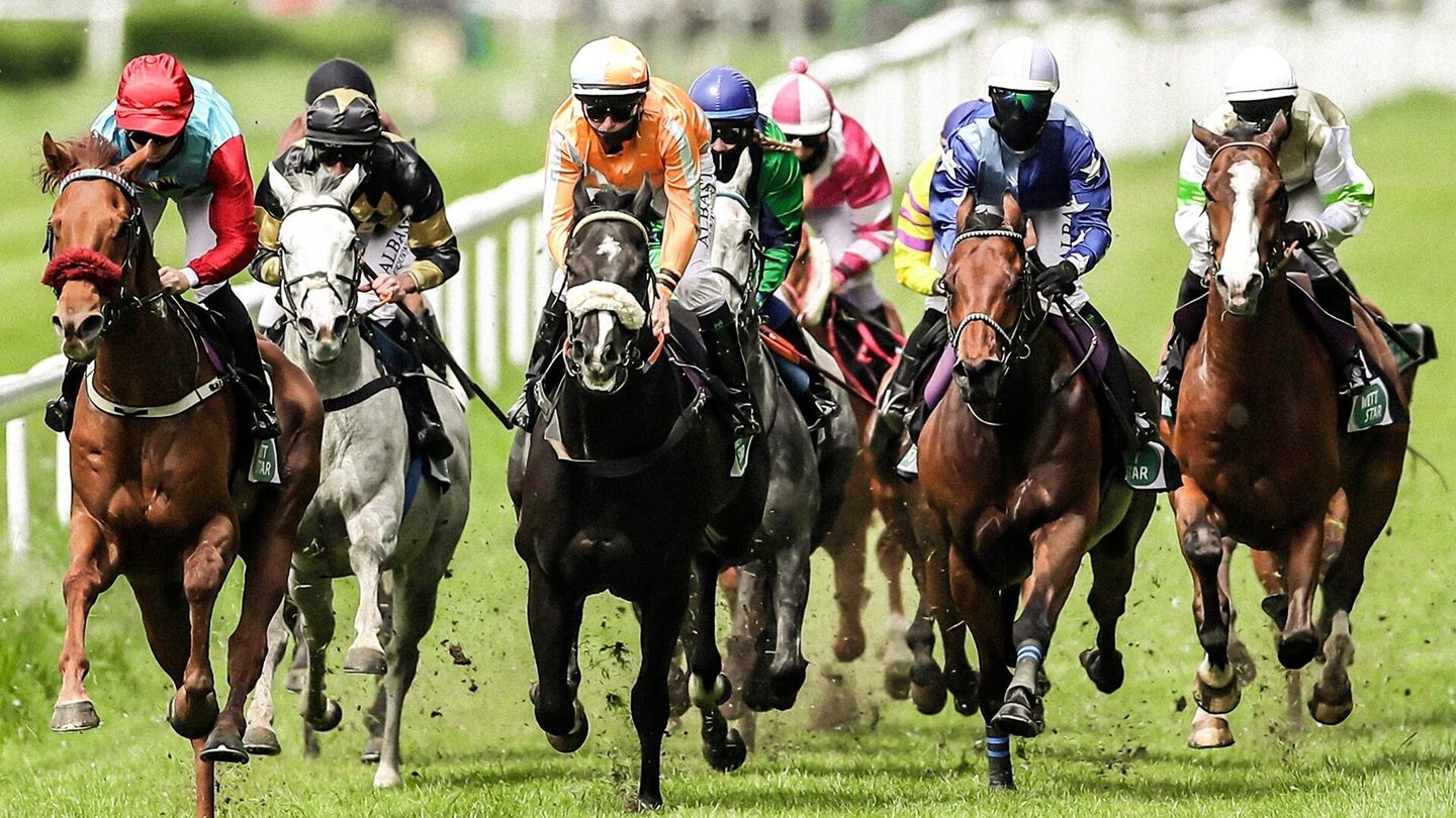 Hippisme