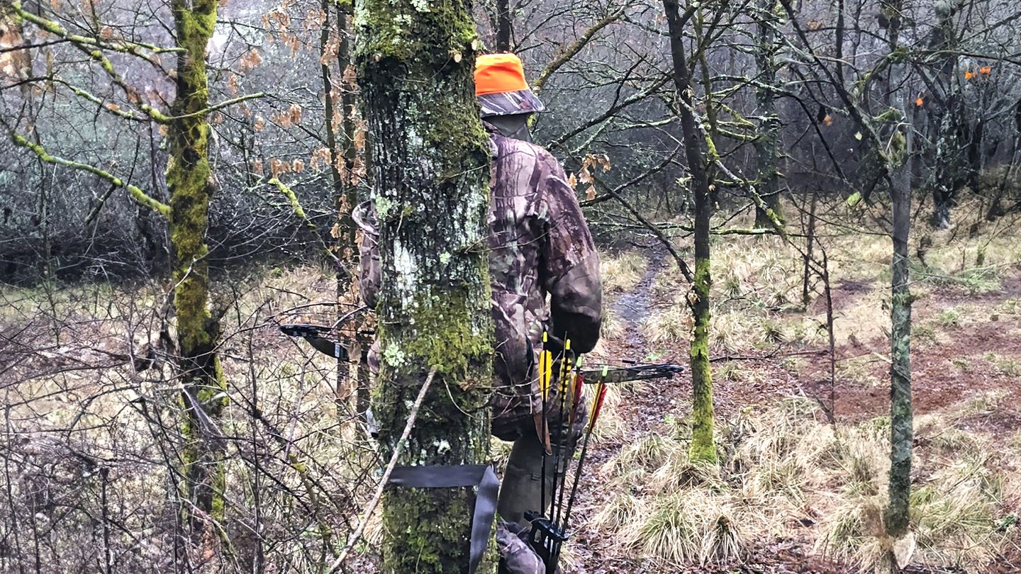 Une flèche parmi les balles