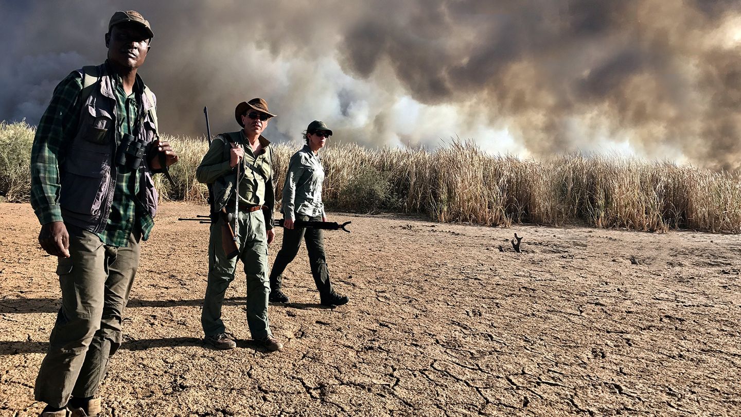 Sénégal terre d'hivernage