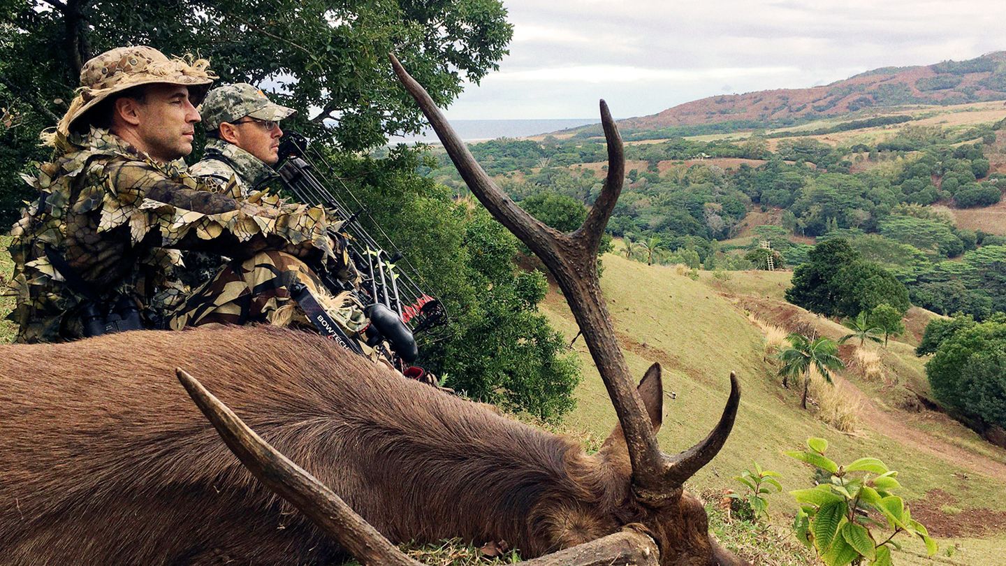 De l'arc au cerf de Java