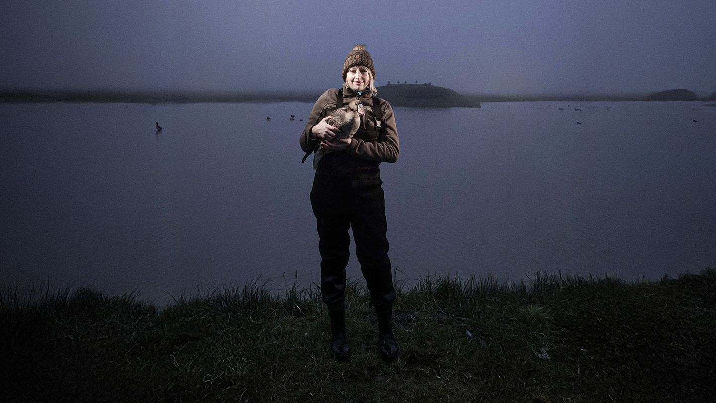 La nuit des sauvaginières