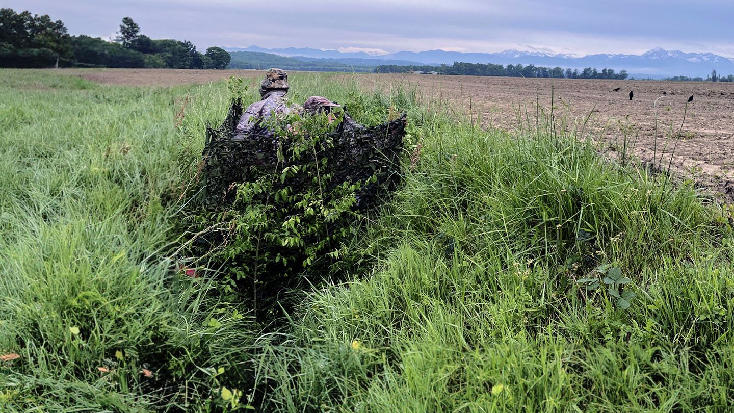 Régulation des corvidés, une chasse d'avenir
