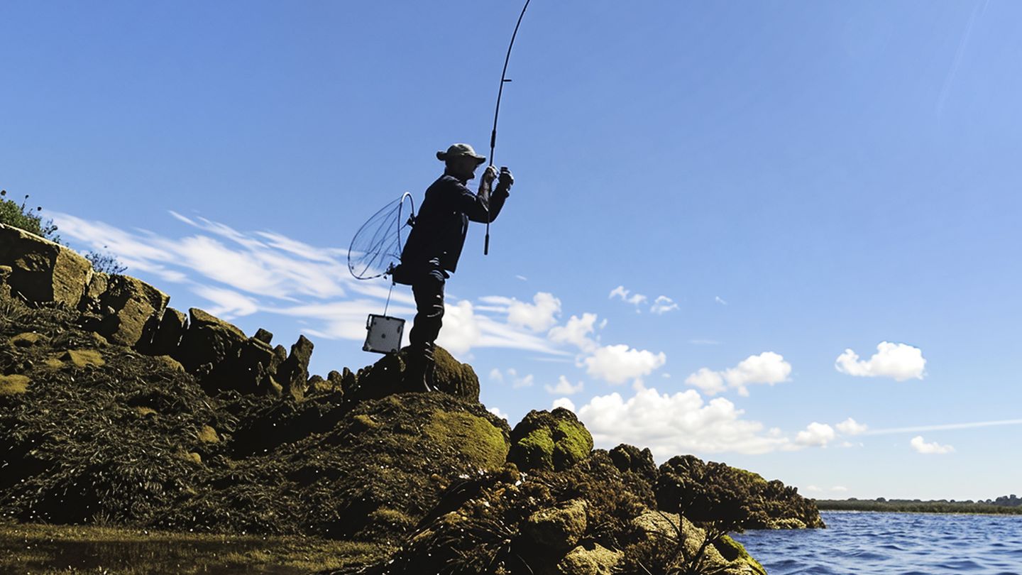 Pêche royale dans le Golfe du Morbihan