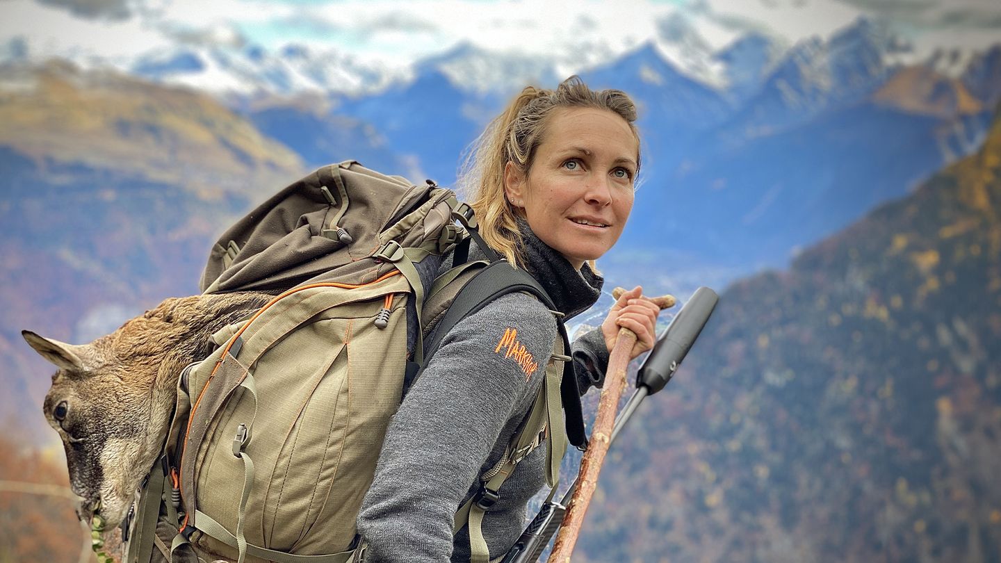 Derniers mouflons des Alpes?