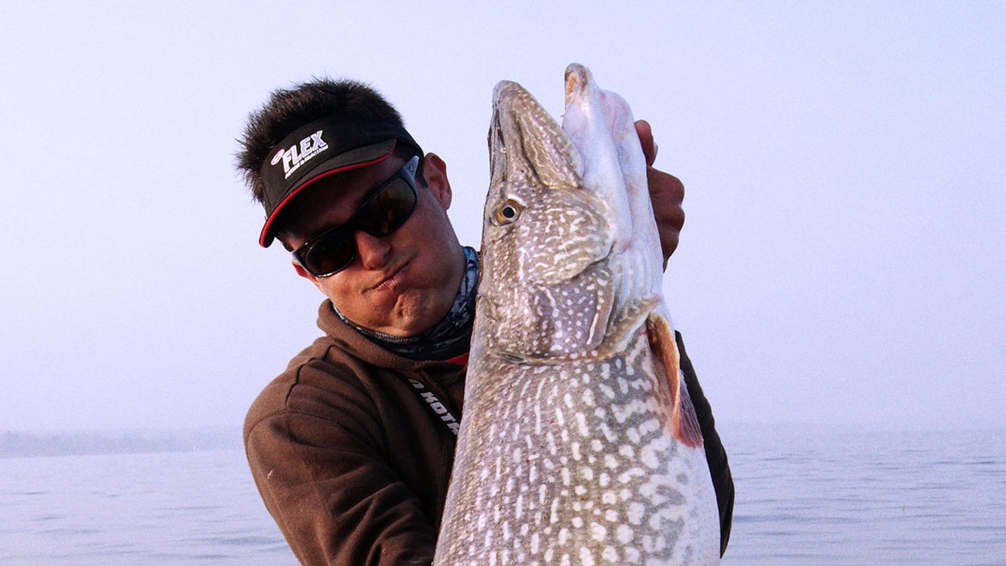 Le brochet dans le cœur des Français