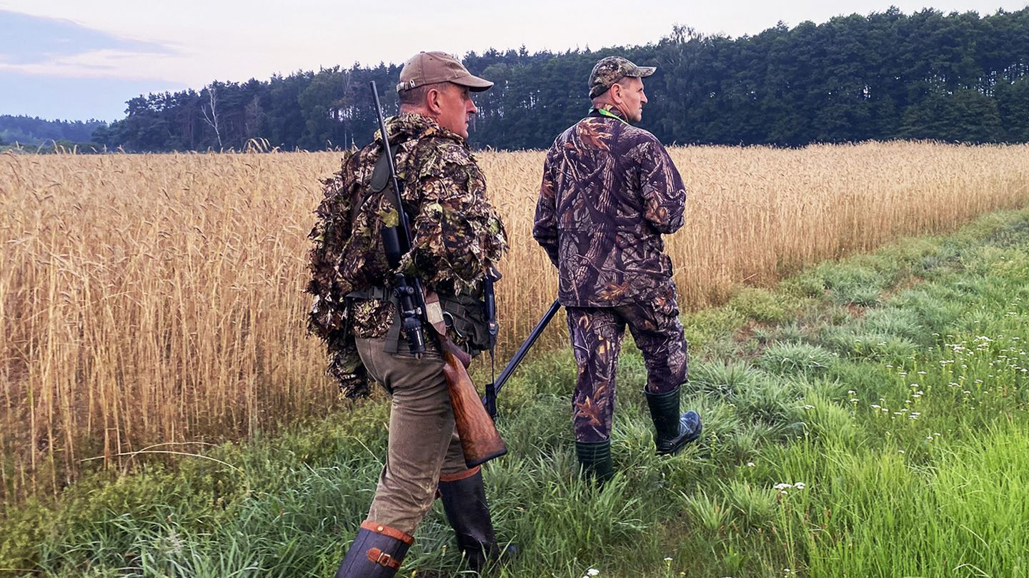 Les grands brocards de Pologne