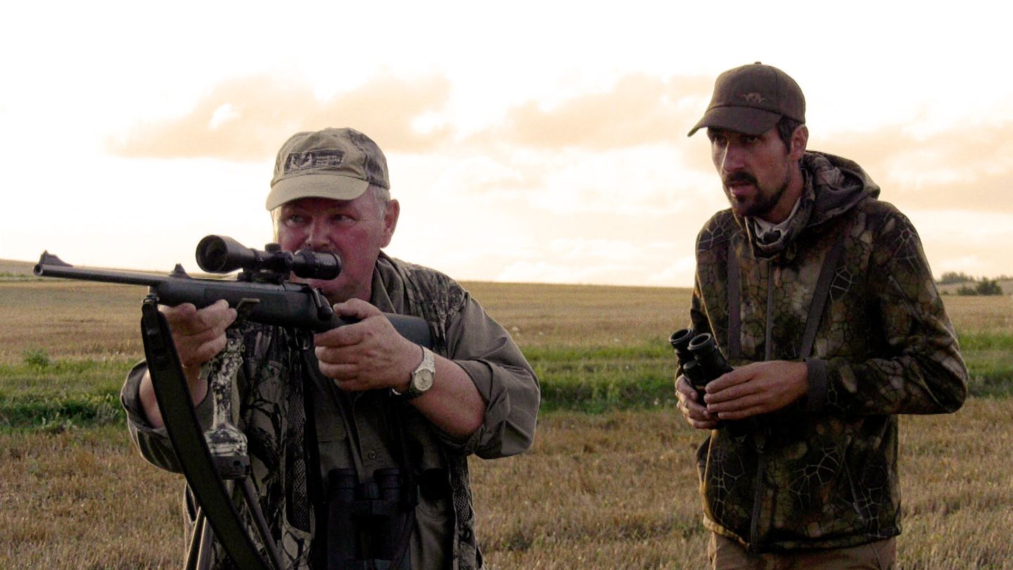 Fouqueure, l'été des Capreolus