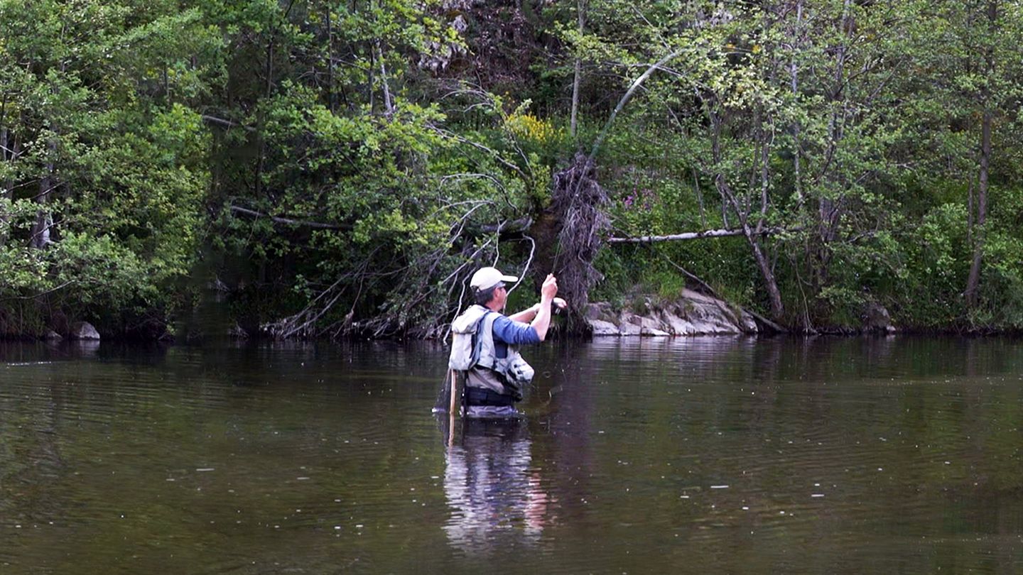 Cavaliers à la mouche