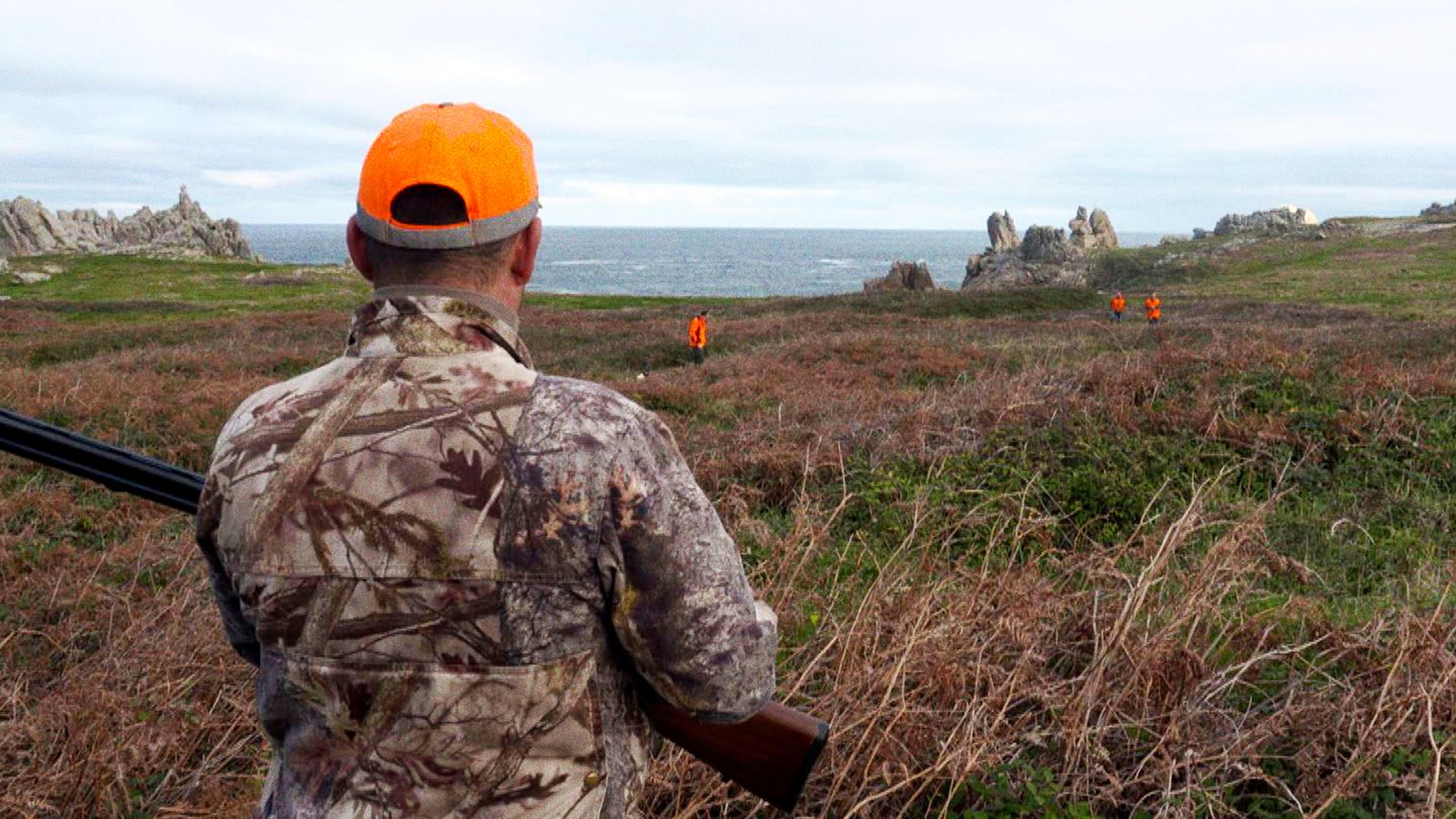 Ouessant, terre de chasse