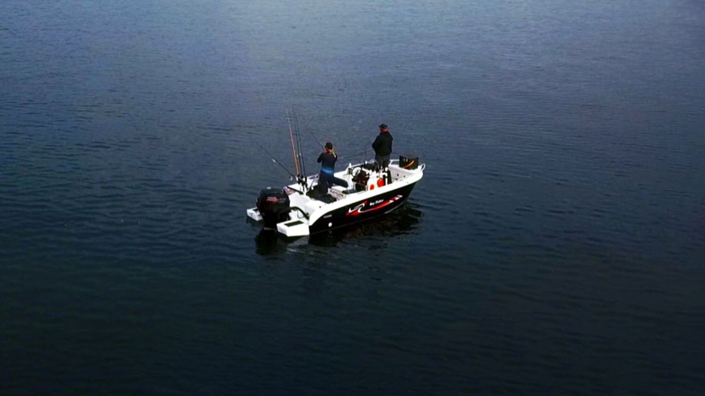 Expert de... la pêche au loup