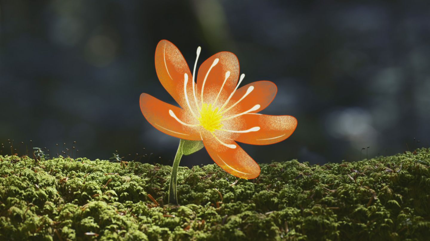 L'abominable mystère des fleurs