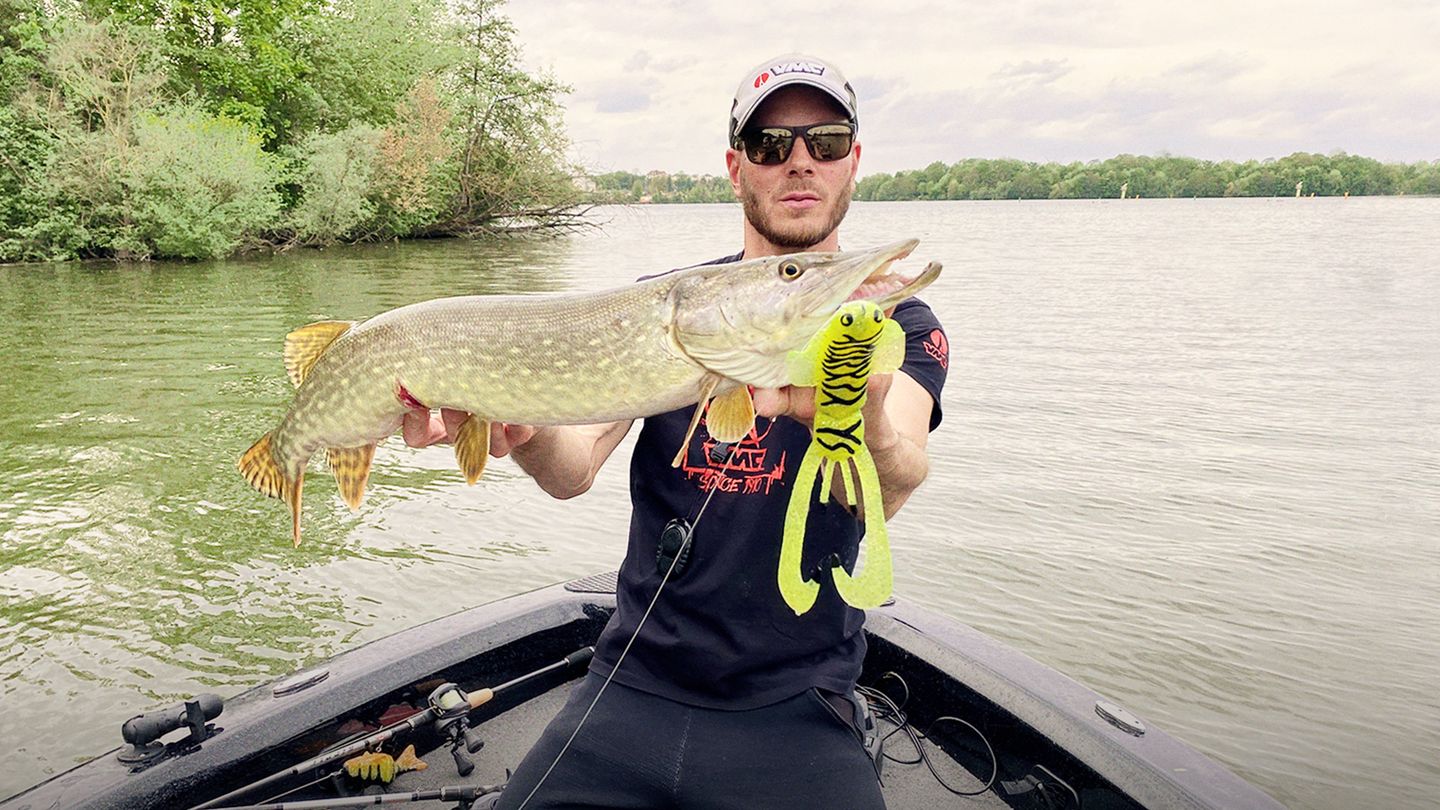 Ludo et les brochets de Seine