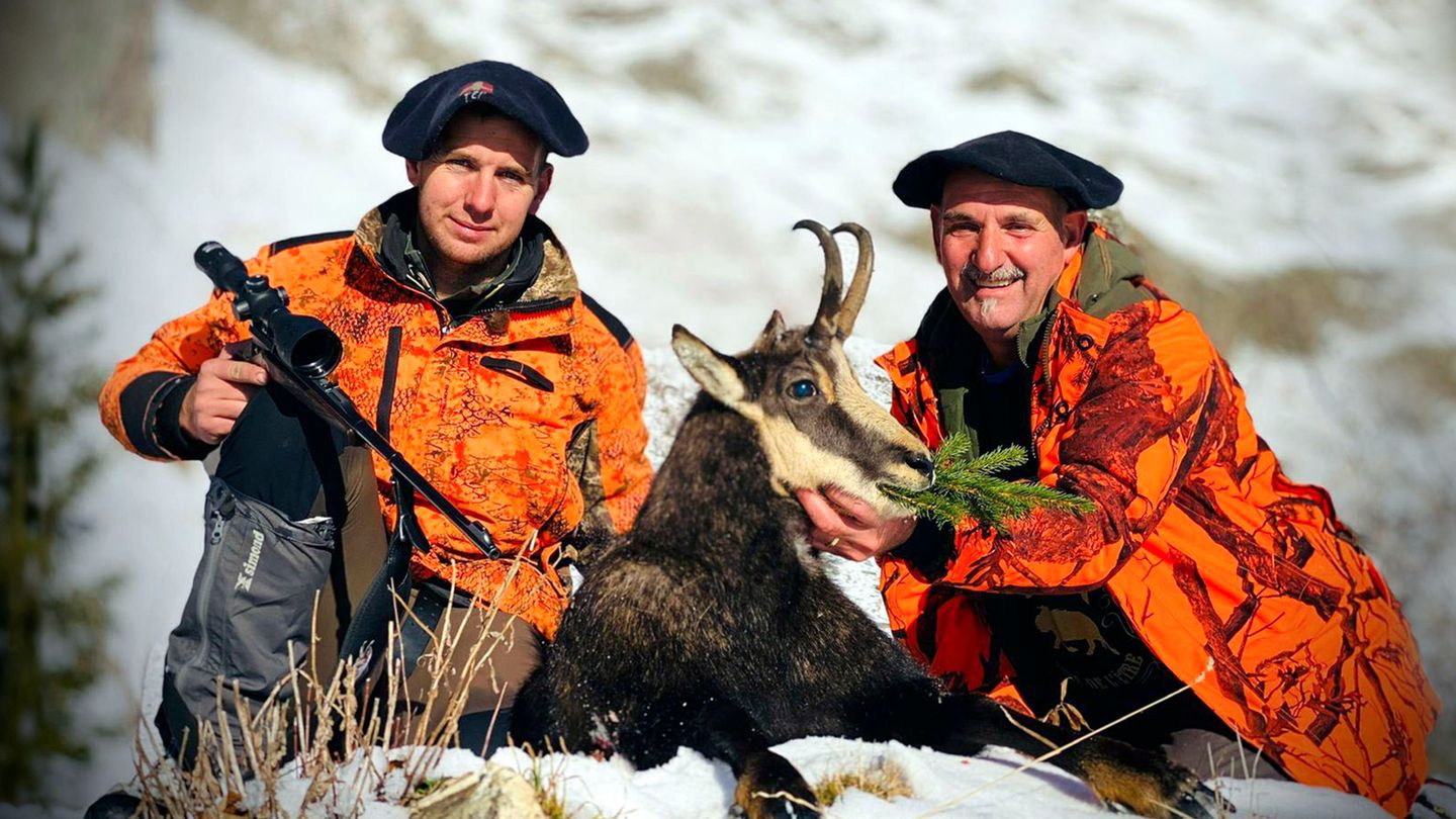 Histoires de chamois