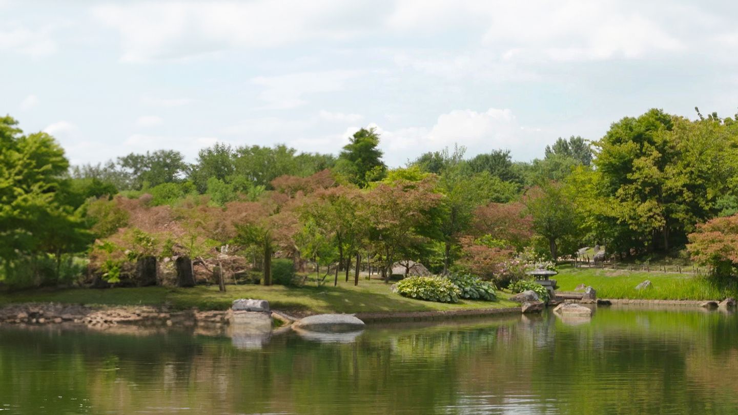 L'Art du jardin japonais