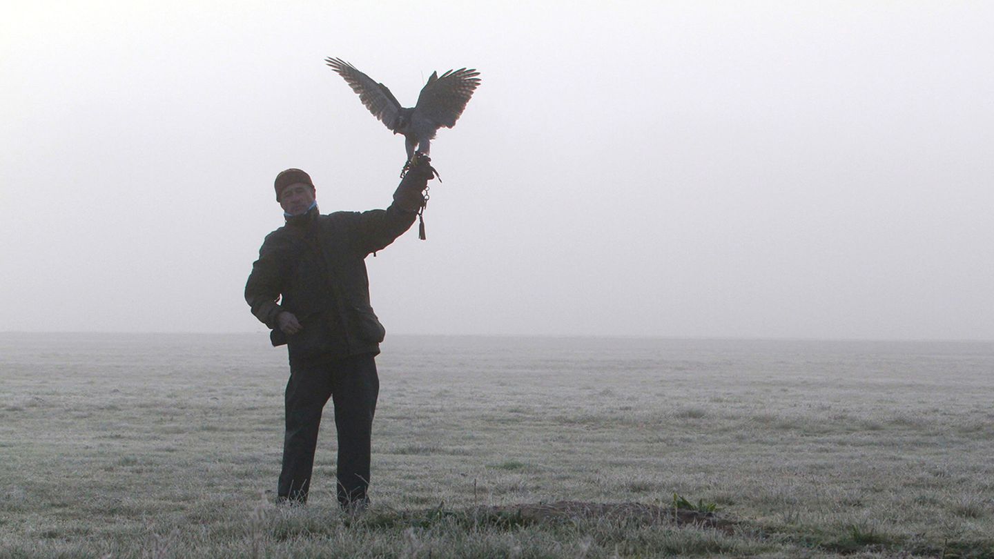 5 nuances de chasse au vol