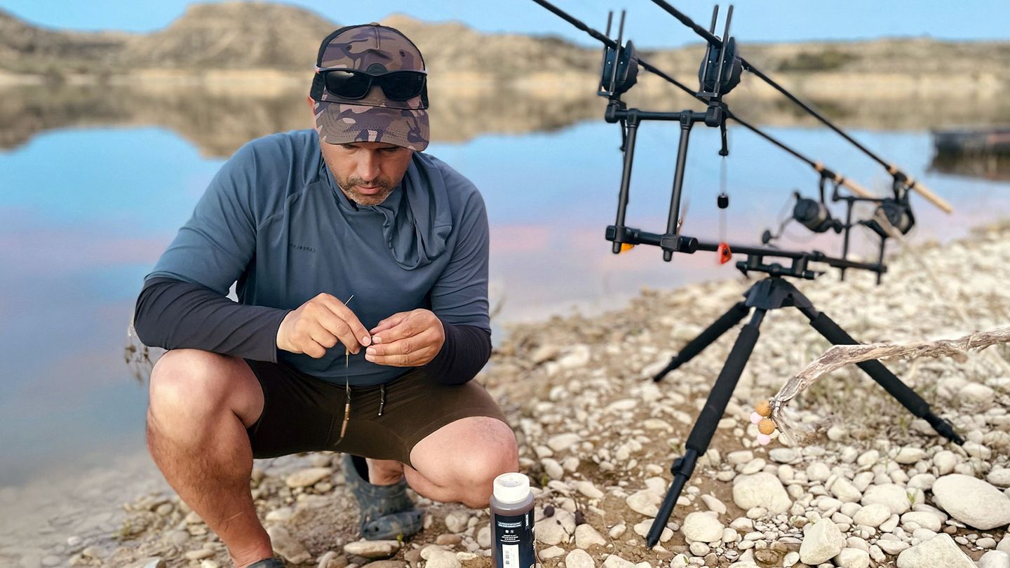 Les carpes de l'Ebre