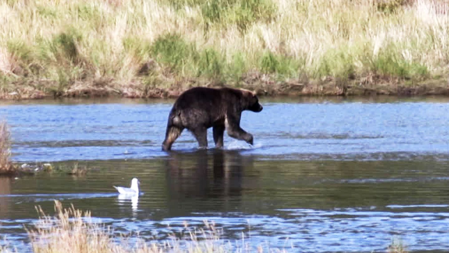 Un automne en Alaska