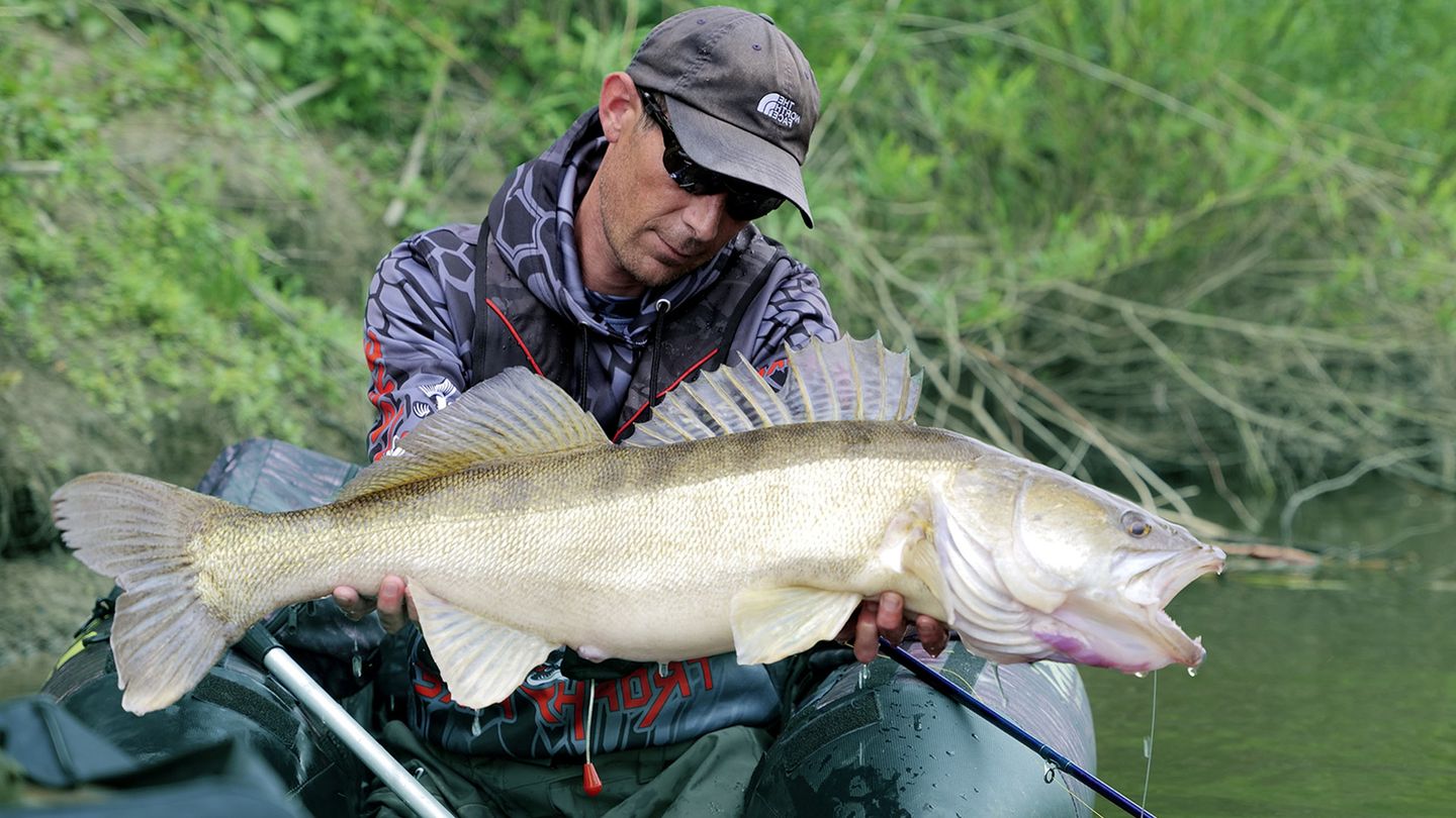 Une proie pour un leurre