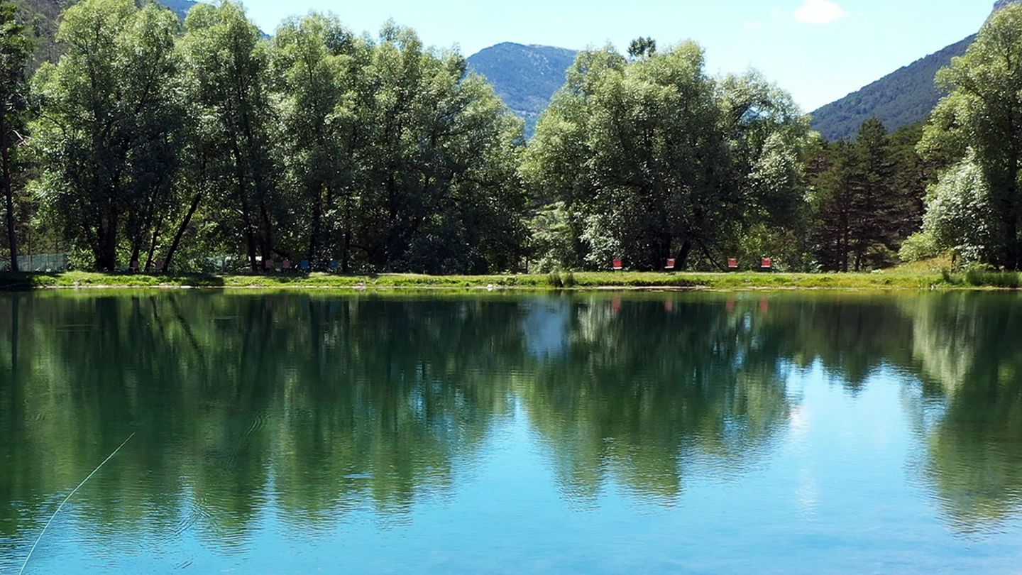 Poisson sauvage ou poisson d'élevage ?