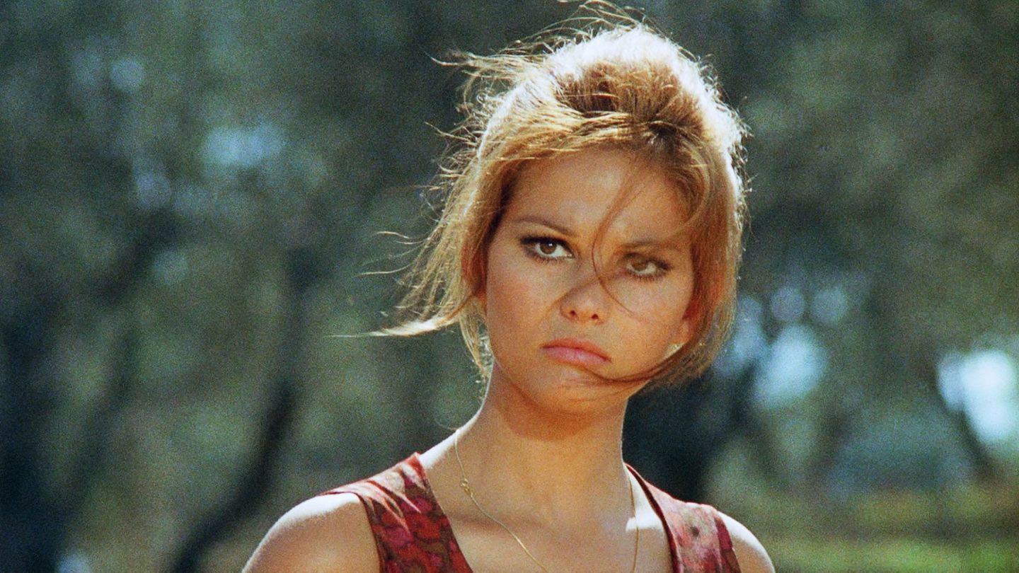 La Mafia fait la loi