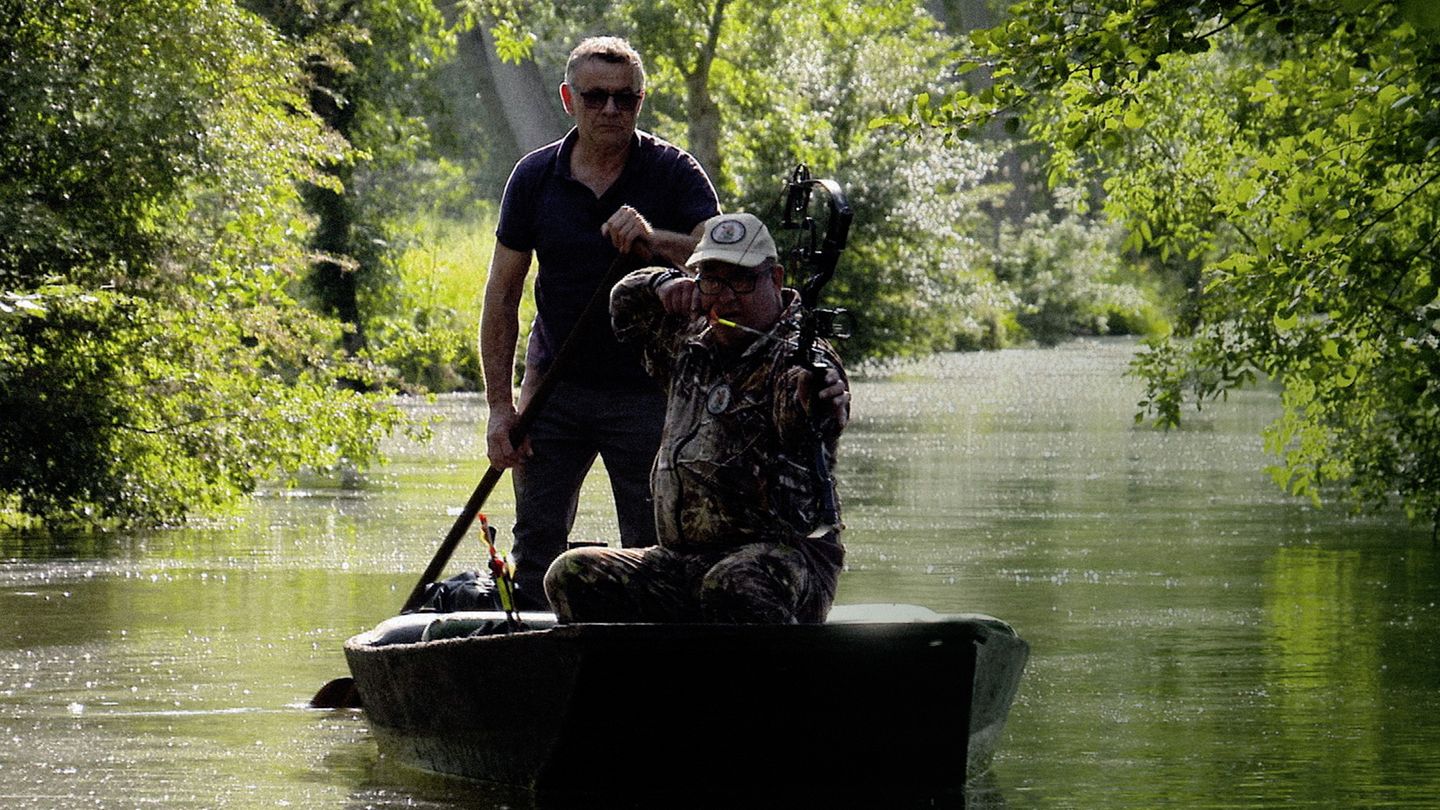 Arrow sur les ragondins