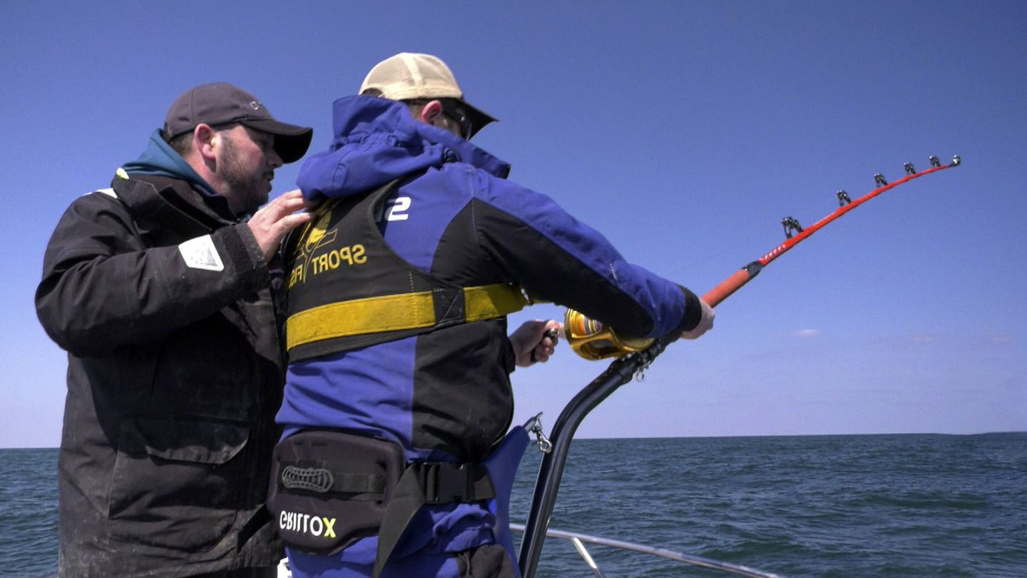 Les géants du Pays Basque