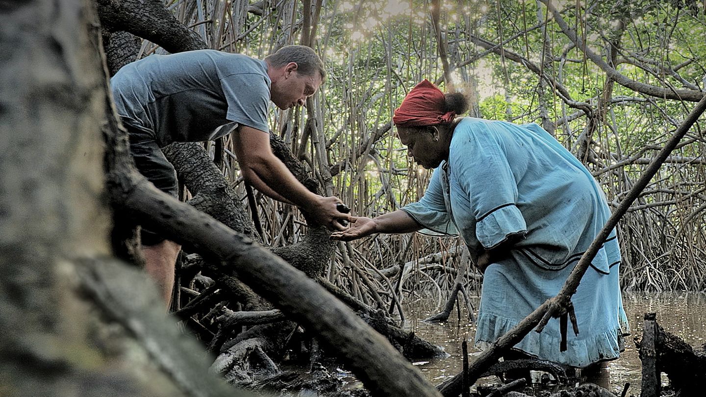 Wild Food Nouvelle-Calédonie