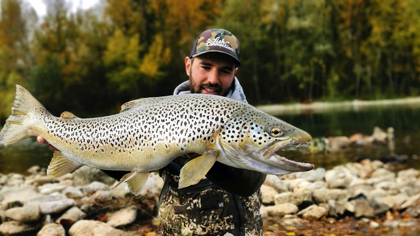 Les truites XXL d'Espagne