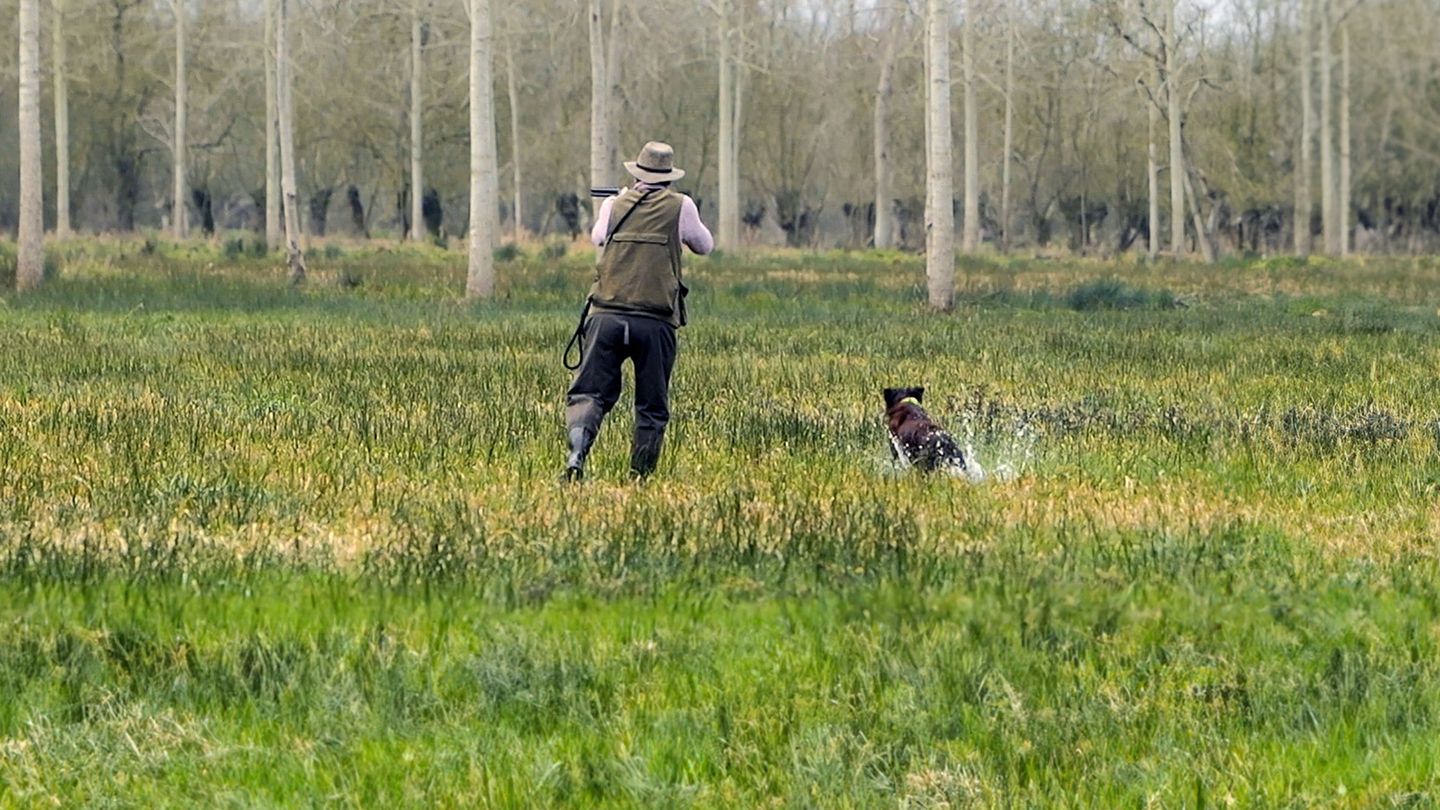 Le marais poitevin, territoire de chasse