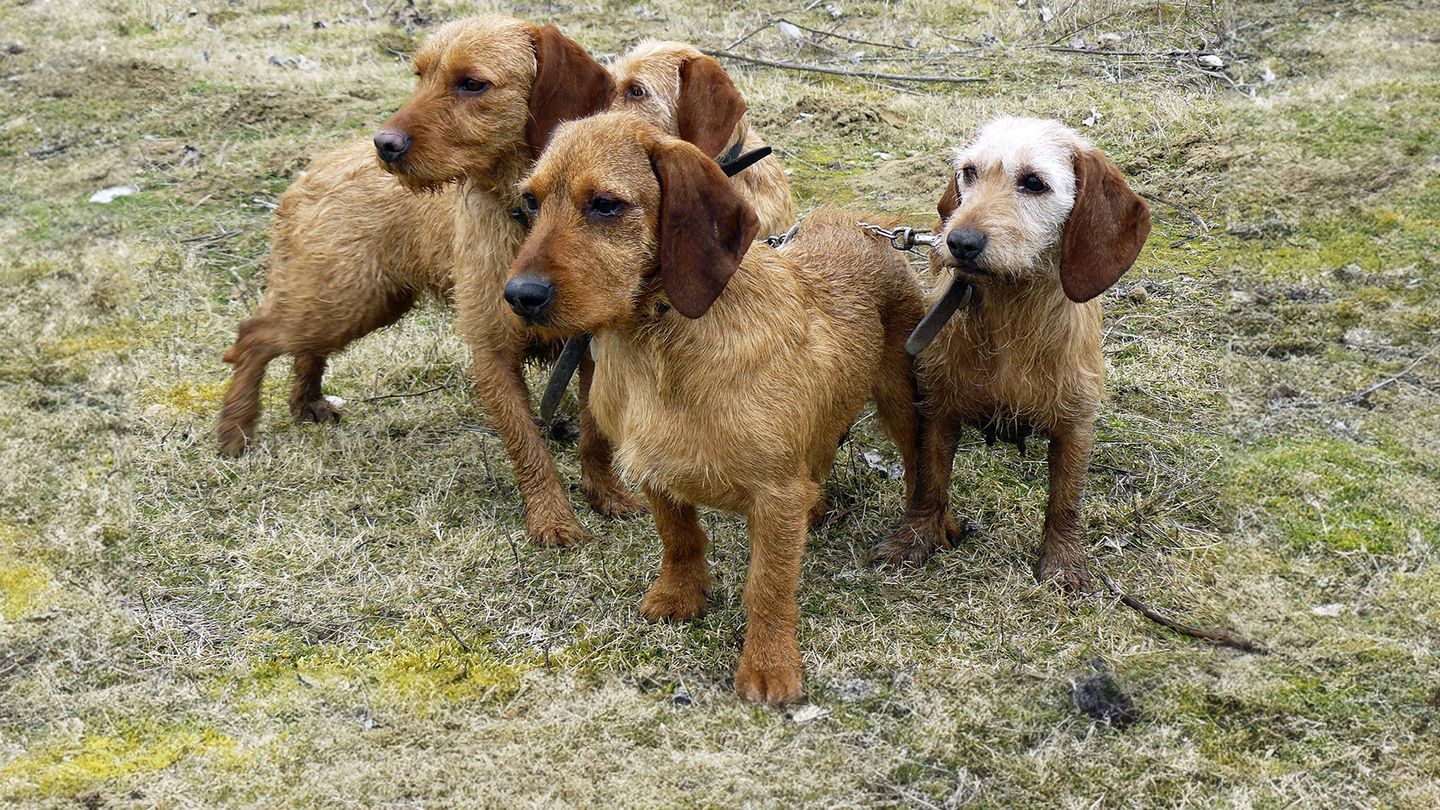 En suivant mes courants