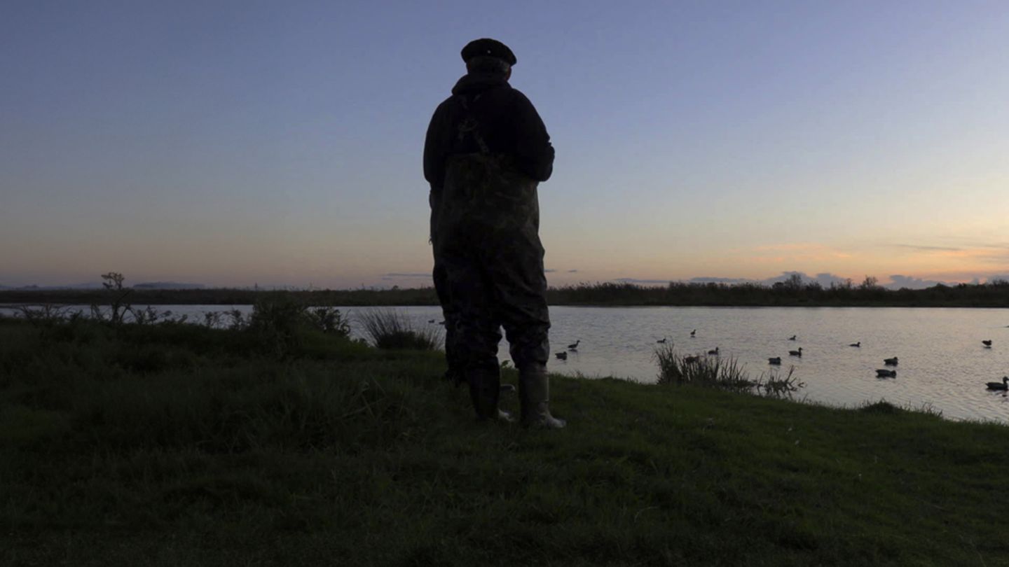 Ce que donne l'estuaire