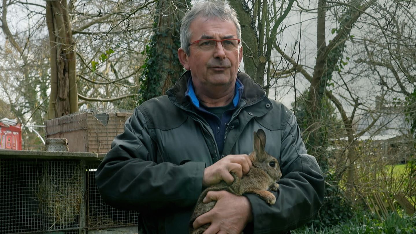 Plaidoyer pour le lapin