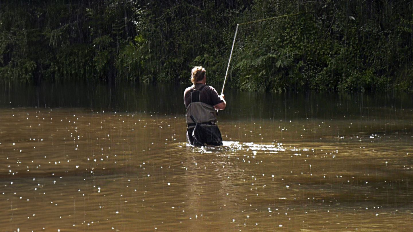 La Leyre, petite Amazone