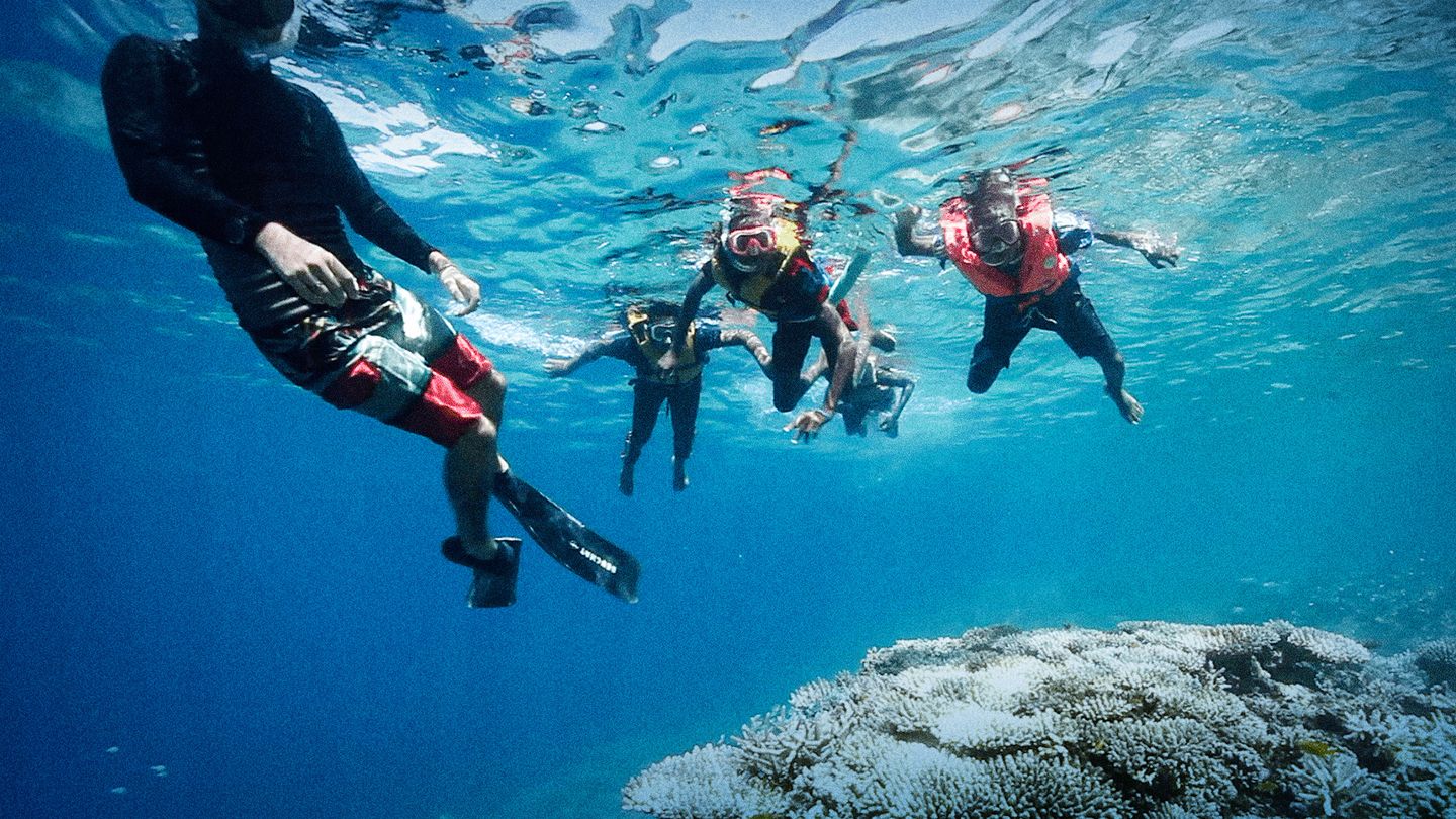 Les engagés de l'île aux parfums