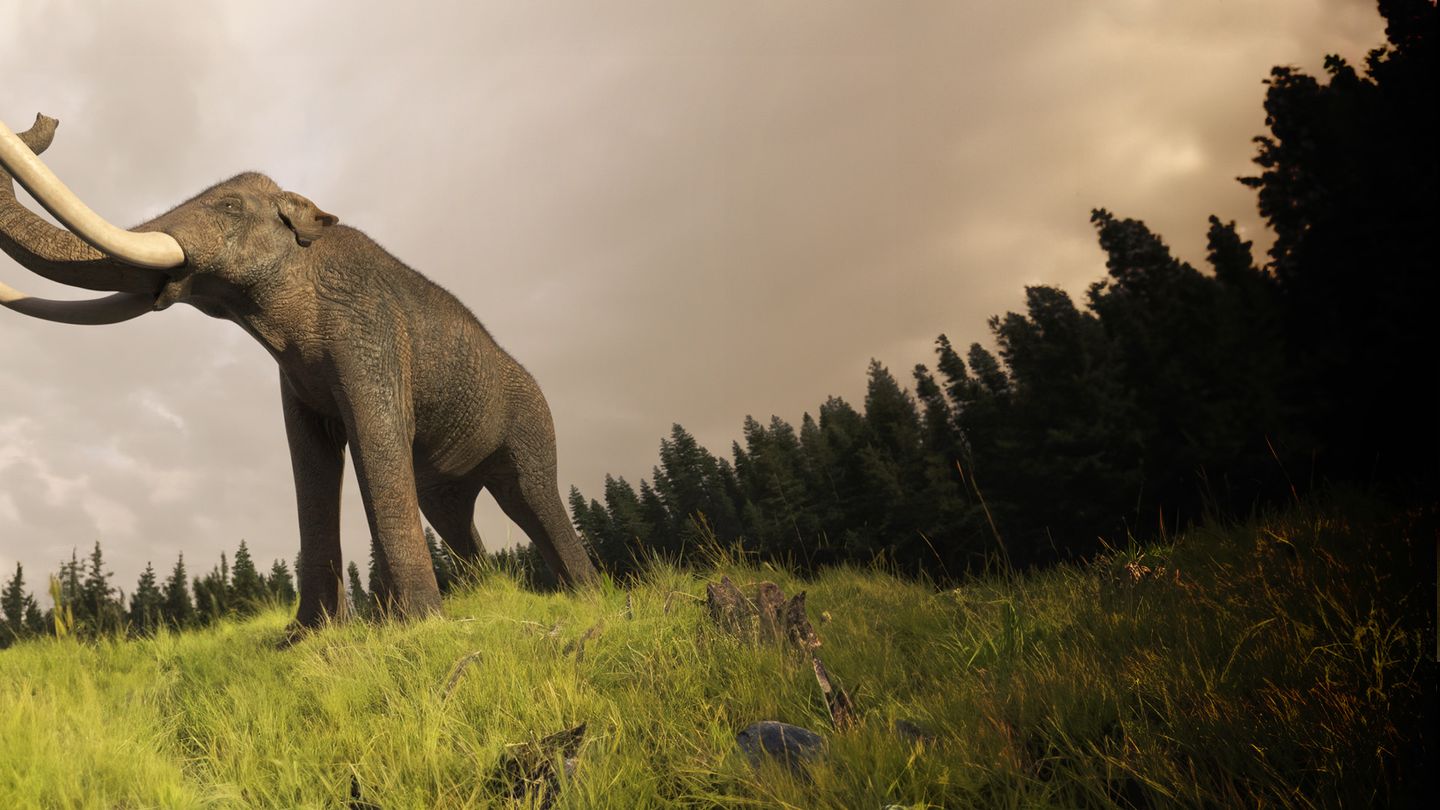 Le monde perdu des mammouths