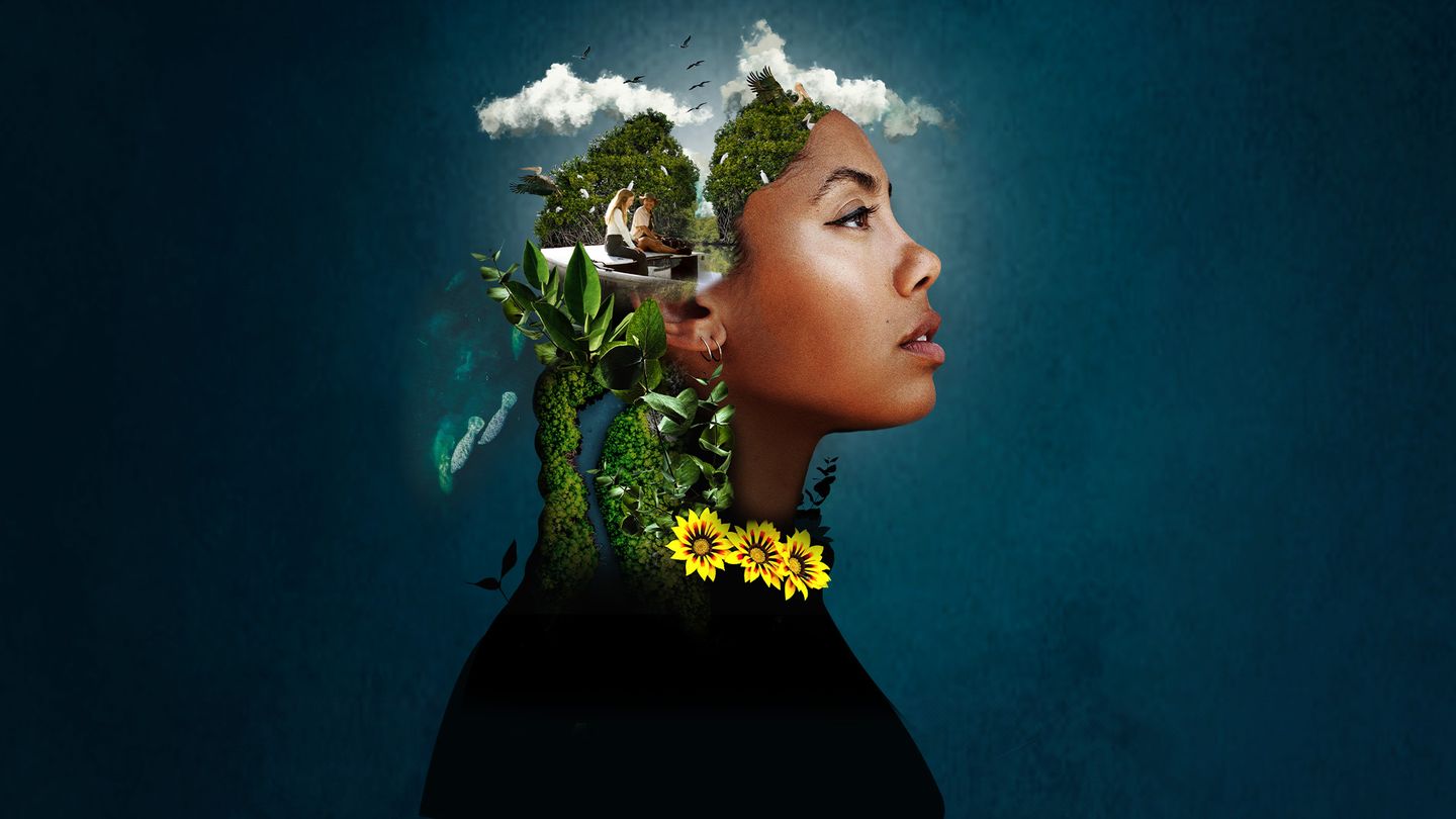 Blue Carbon - Le super-pouvoir de la nature