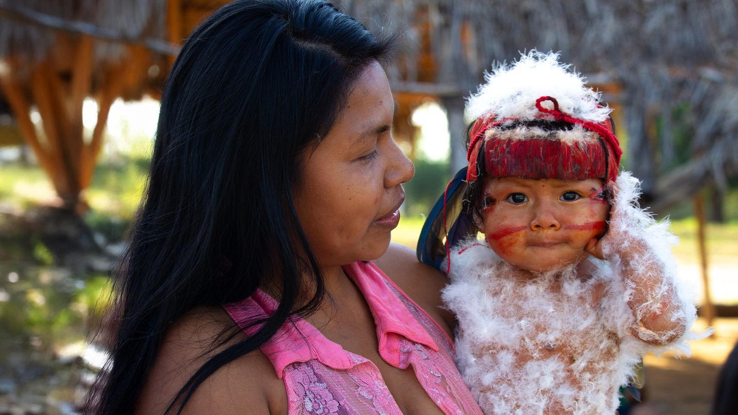 Brésil : lueur d'espoir pour l'ara hyacinthe