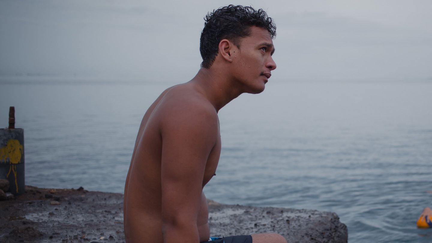 Sous le feuillage des verts tamariniers