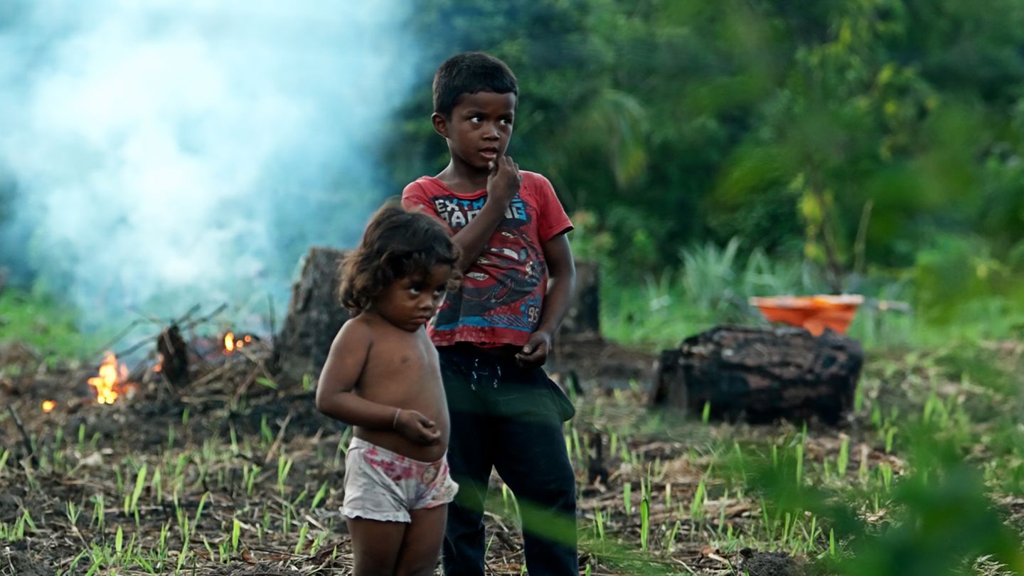 Neutralité carbone, le grand mensonge